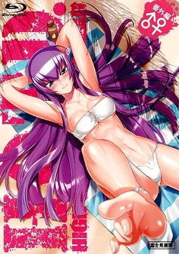 Highschool Of The Dead: Drifters of the Dead